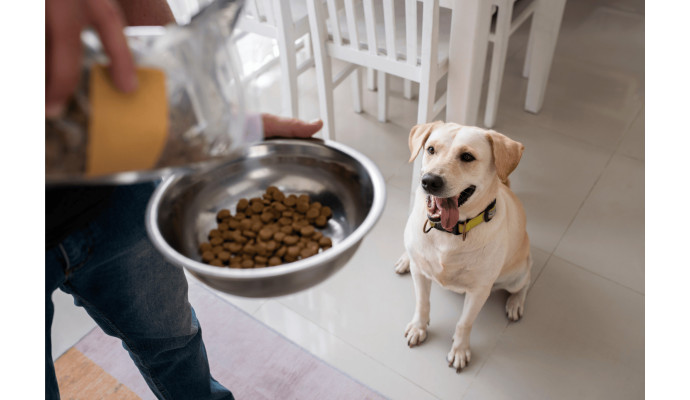 Dlaczego sucha karma wysokobiałkowa może być korzystna dla Twojego psa?